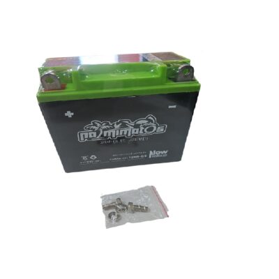 BATERIA SECA (12N9-BS) ZZ-G125/ZZ-OW9 PALMIMOTOS