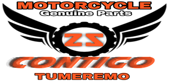 Logo_Zz_tumeremo