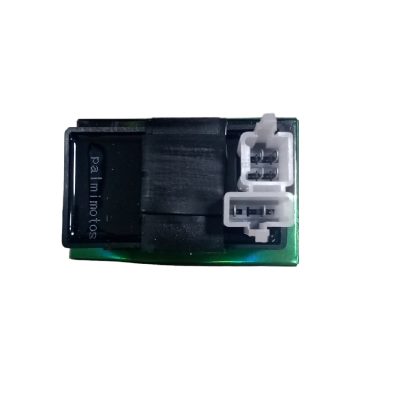 CDI ZZ-CG150 Palmimoto