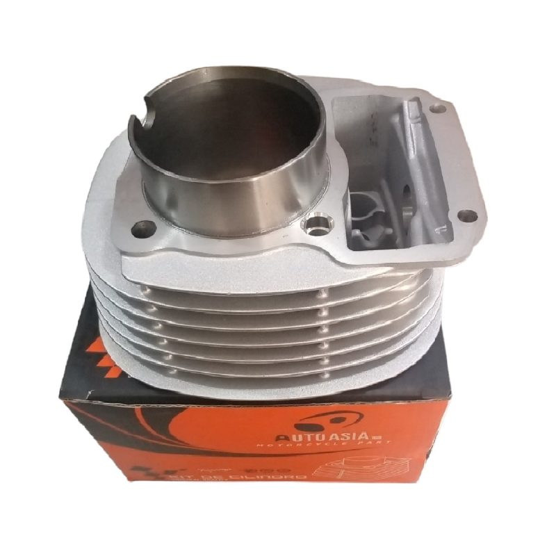 Cilindro Completo ZZ-H1 Autoasia