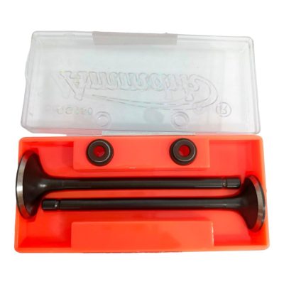 Válvulas Acerada ZZ-CG150 Cuña Larga Calidad De Ensamblaje Ammark