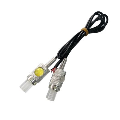 Tornillo Porta Placa C/Luz Blanco