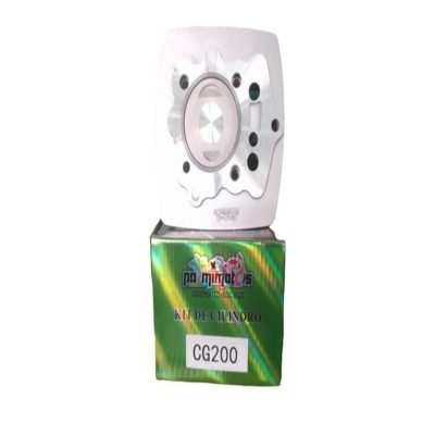 Cilindro Completo ZZ-CG200 Palmimoto