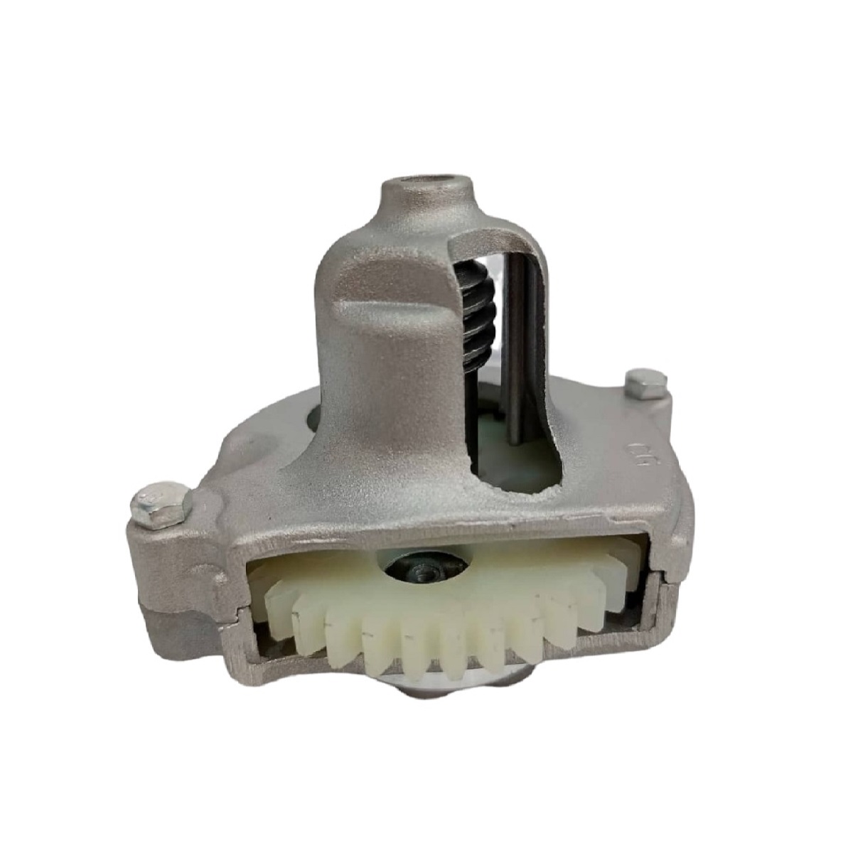 Bomba De Aceite ZZ-CG150 AutoAsia