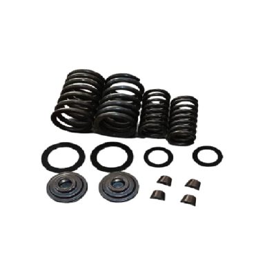 Resorte Camara ZZ-CG150 LyZ