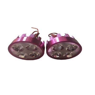 Led Ojo De Angel X2 Fucsia ZZ
