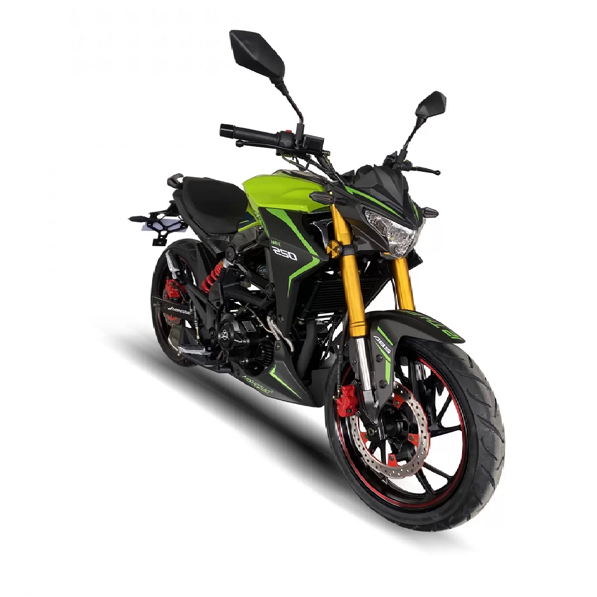 Moto HRC250 2024 Verde MISHOZUKI