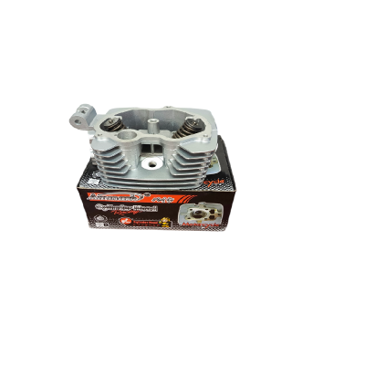 Camara Sola ZZ-H1 Ammark