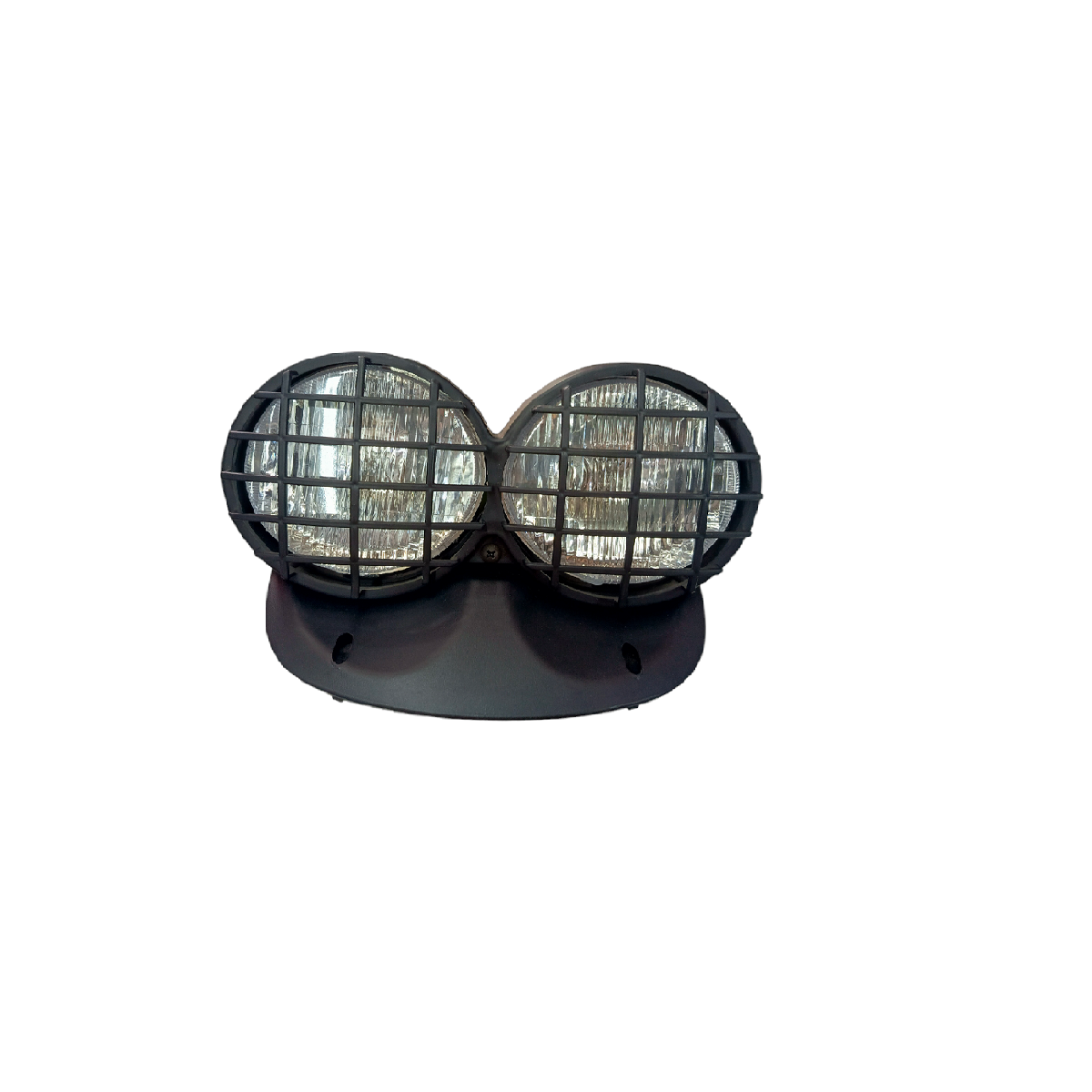 Faro ZZ-GY6 BWS