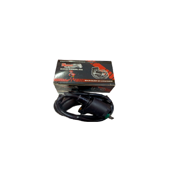 Bobina ZZ-GY6 Speedway