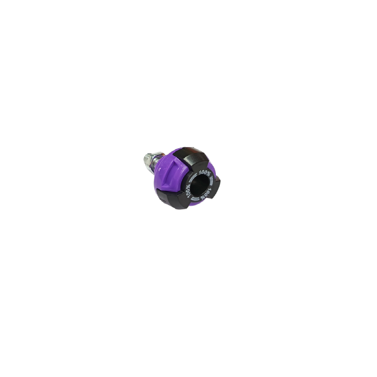 Tornillo Porta Placa Plastico Morado