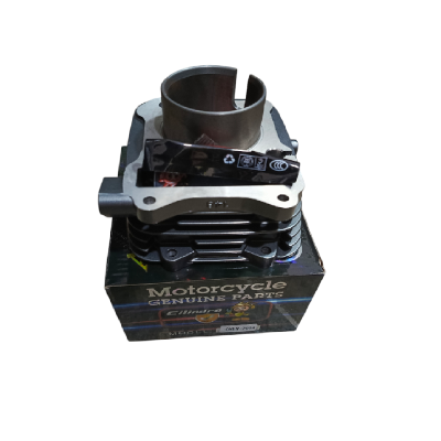 Kit De Cilindro Completo ZZ-OW 2014 Ammark