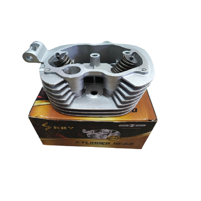 Camara Sola ZZ-H1 Rey