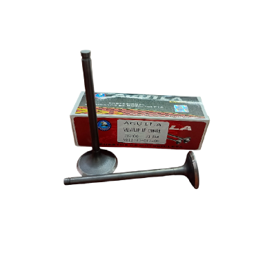 Válvulas ZZ-CG200 Pata Corta Águila