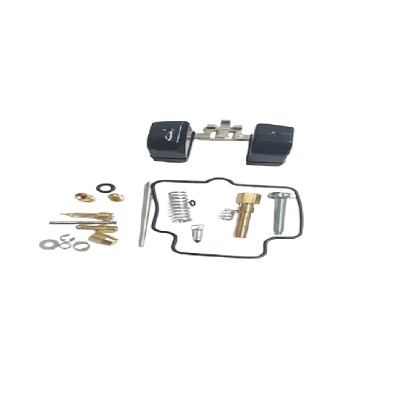 Kit Reparacion Carburador ZZ-OWGS Ammark