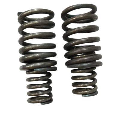 Resorte Camara ZZ-CG150 Aguila