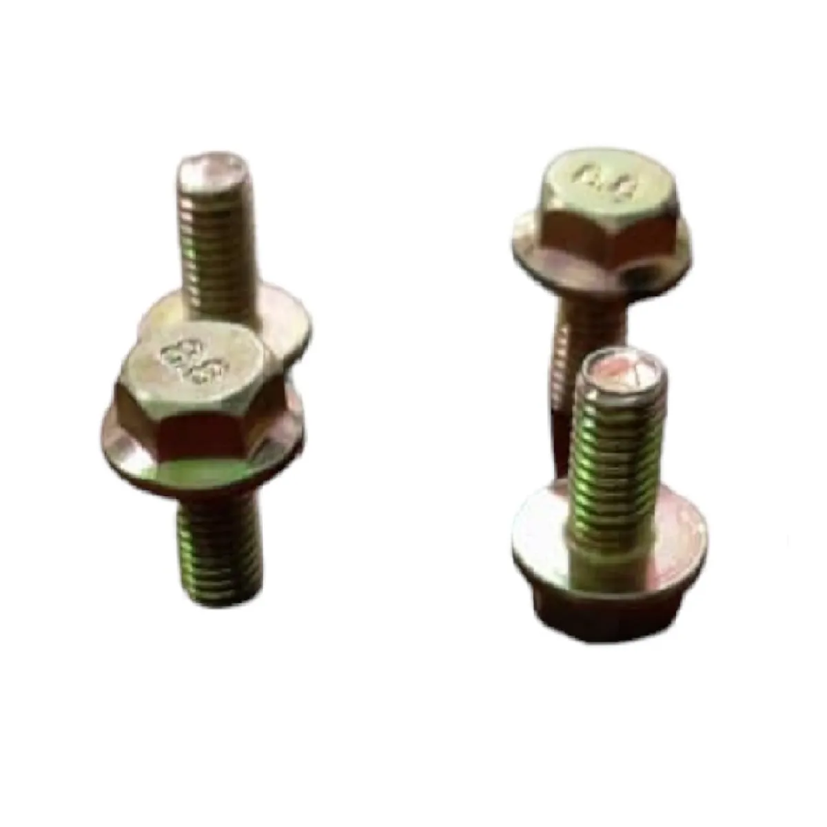 Tornillo Burro
