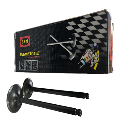 Válvula De Camara ZZ-H1 BSN