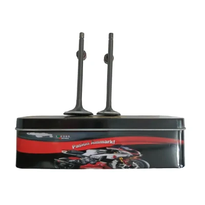 Válvulas ZZ-GY6 Caja Hierro Ammark