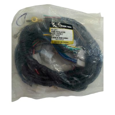 Cableado Instalación ZZ-H2 Rey