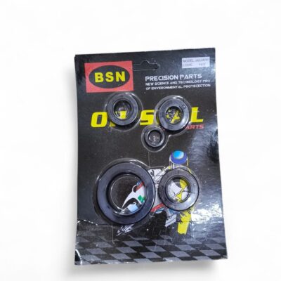 Kit Estopera De Motor ZZ-Cg150 BSN