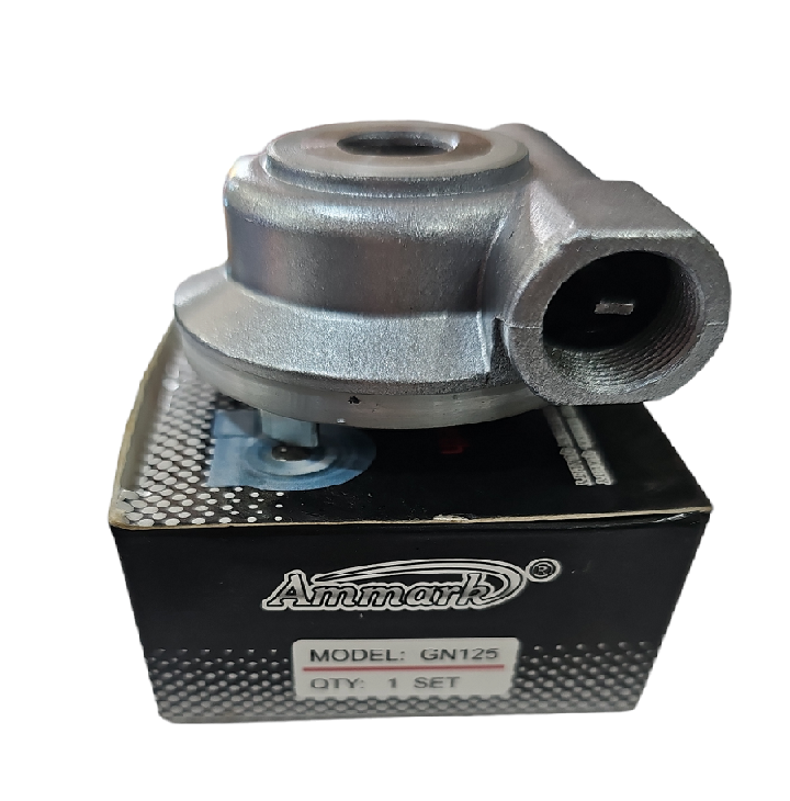 Cuenta Kilómetraje ZZ-G125 Ammark