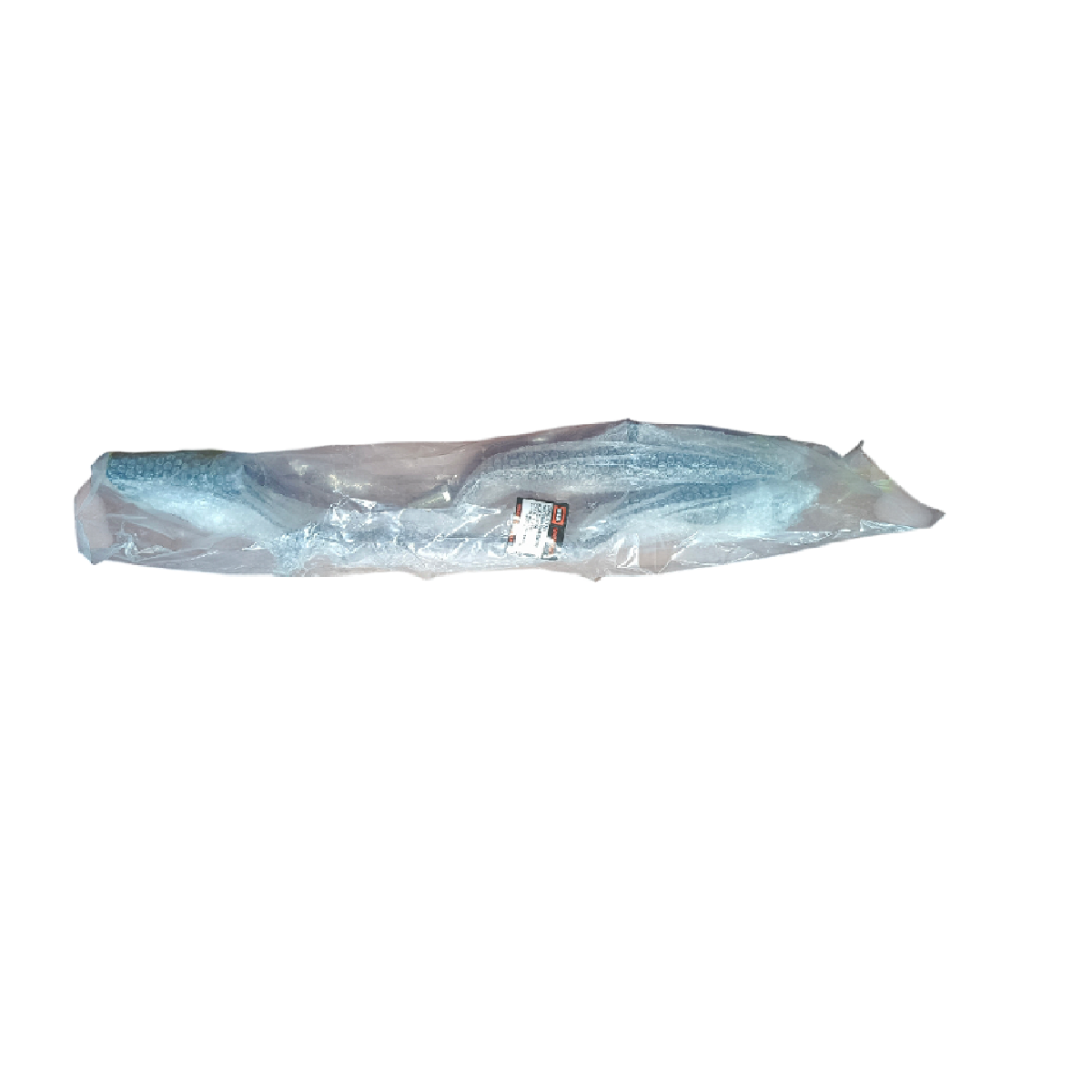 Barra Posapie Completa ZZ-CG150 BSN